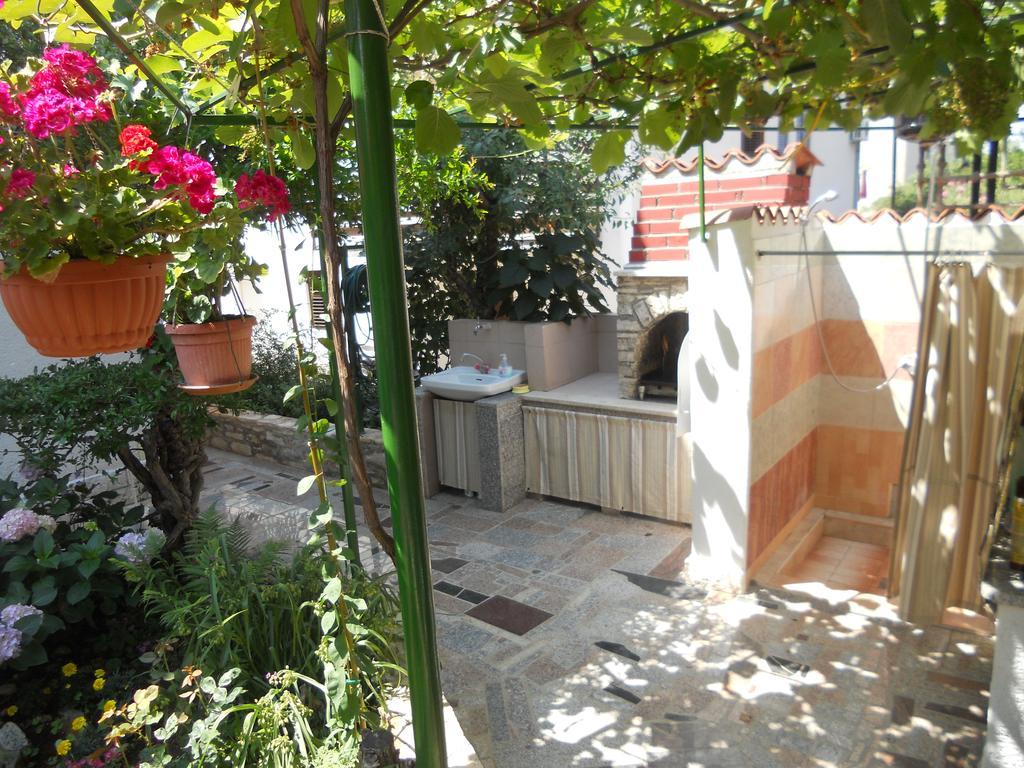 Apartments Anic Novigrad  Екстер'єр фото