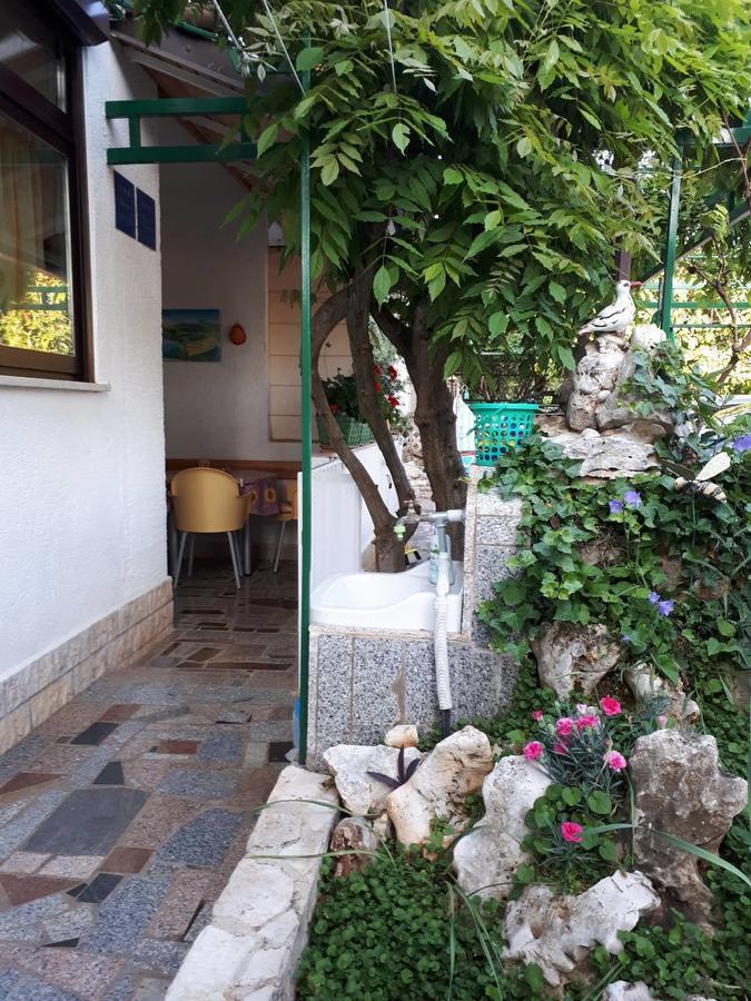 Apartments Anic Novigrad  Екстер'єр фото