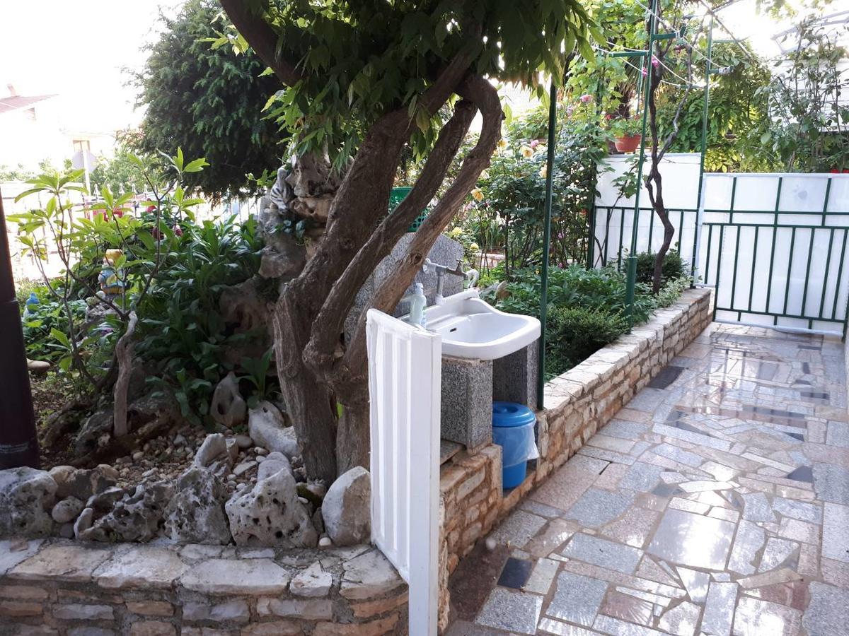 Apartments Anic Novigrad  Екстер'єр фото